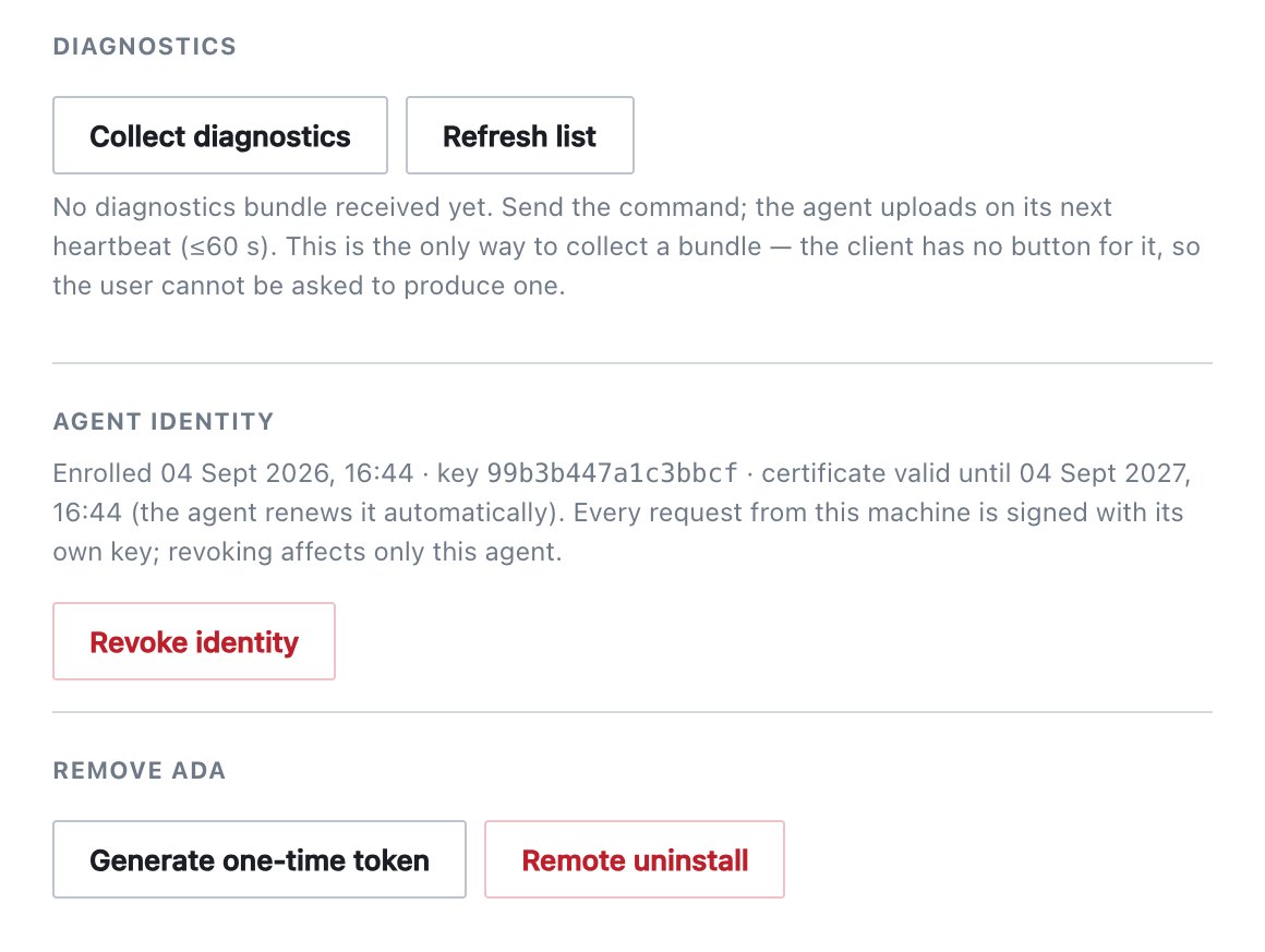 Agent drawer: diagnostics, identity and removal.
